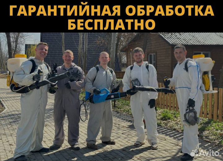 Дезинфекция: уничтожение тараканов, клопов, мышей