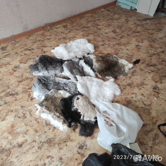 Шкурки кролика