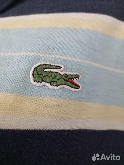 Lacoste live polo