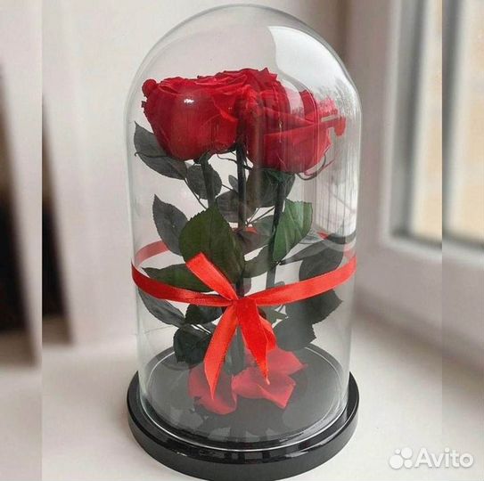 Роза в колбе. Любые размеры