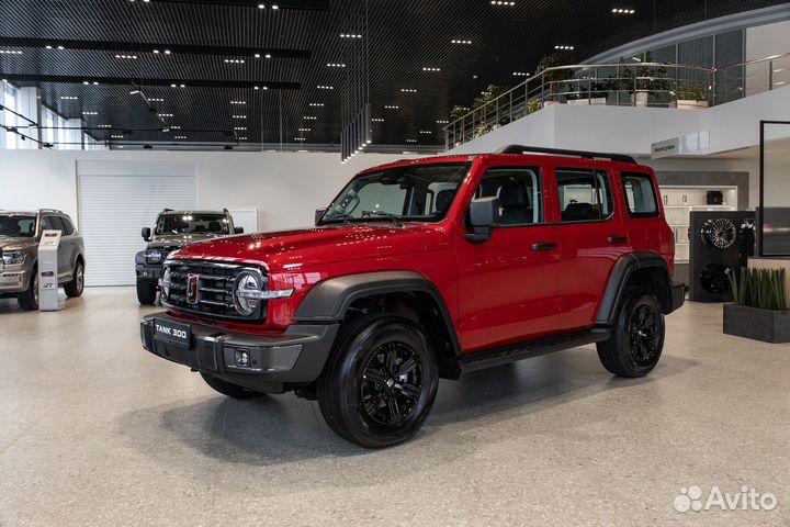 Tank 300 2.0 AT, 2024