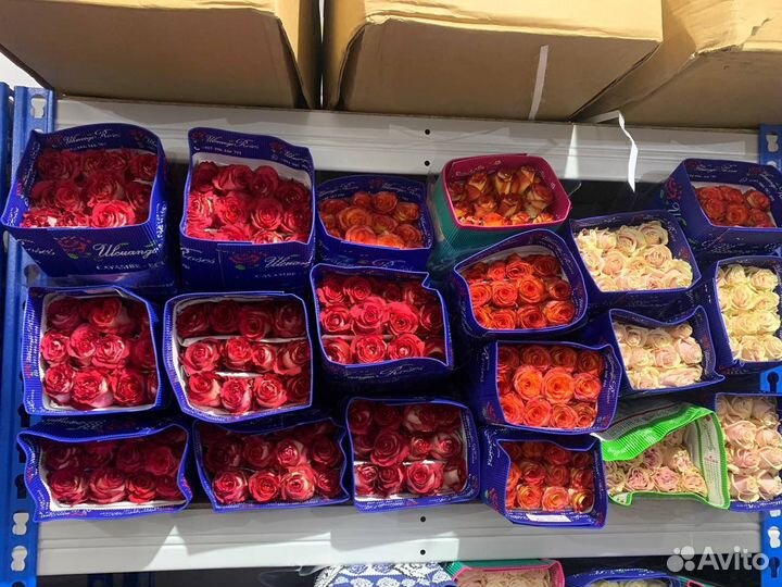 Цветы оптом в ваш город