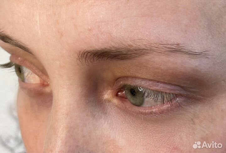 Мастер бровист