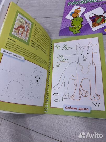 Раскраски пакетом