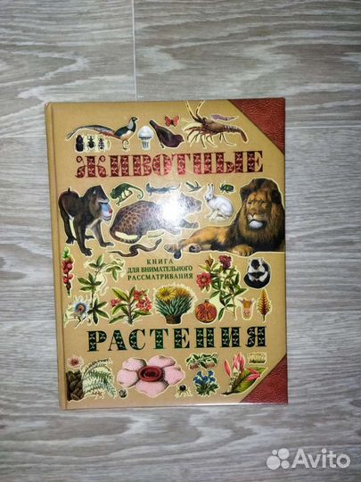 Детские книги новые