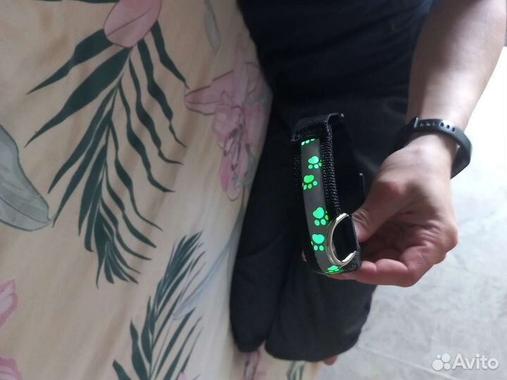 Ошейник и поводок новый