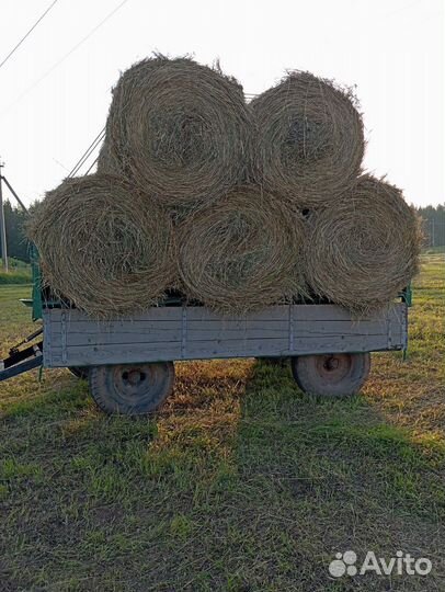 Сено в рулонах