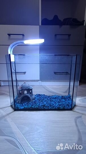 Аквариум 20 литров