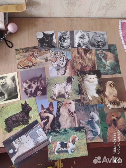 Открытки СССР