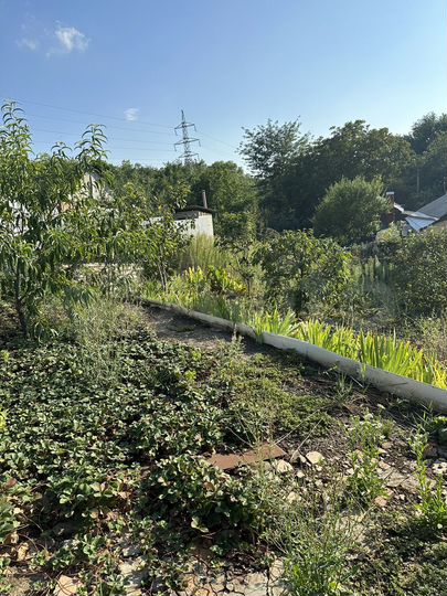 Участок 6 сот. (ИЖС)