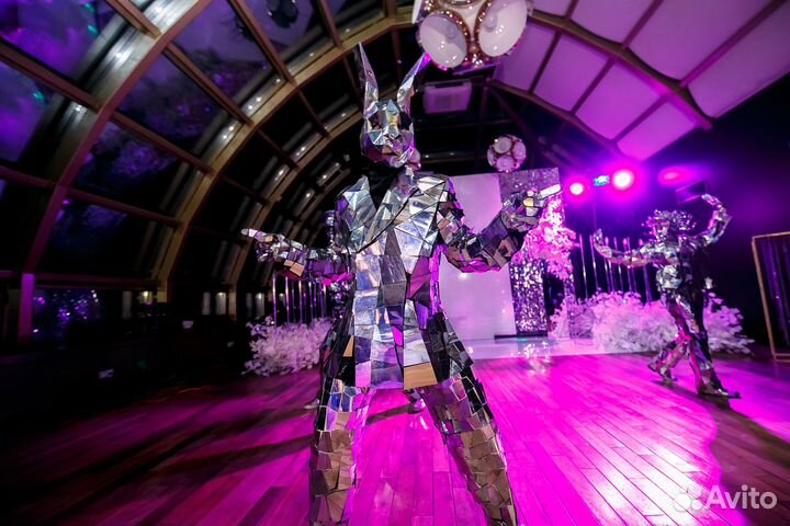 Зеркальные зайцы, тигры, люди, Микки на велком