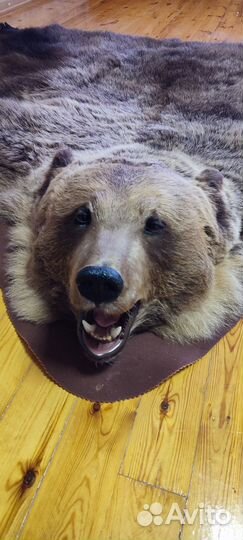 Шкура медведя имитация