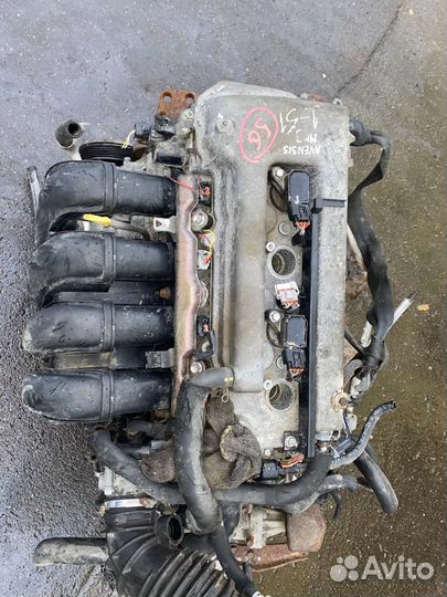 Двигатель 1ZZ-FE Toyota Avensis ZZT251 ZZ-5563122