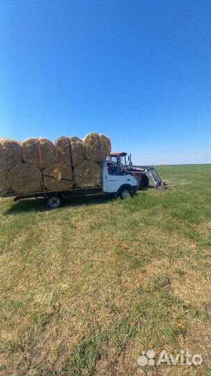 Продам сено
