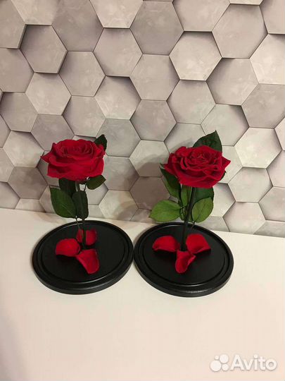 Роза в колбе