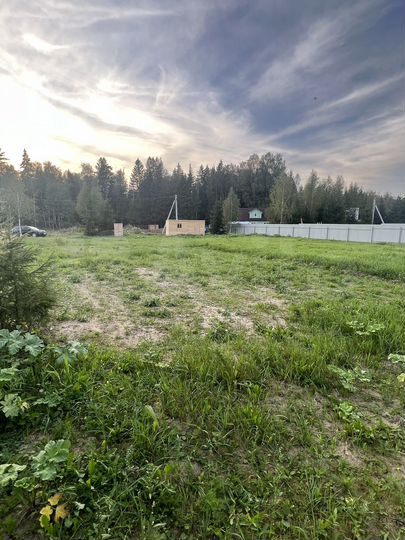 Участок 13,5 сот. (СНТ, ДНП)