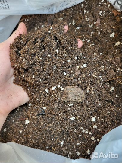 Универсальный грунт