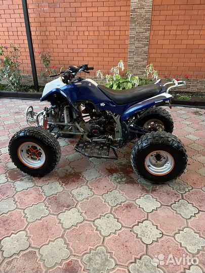 Ирбис 250