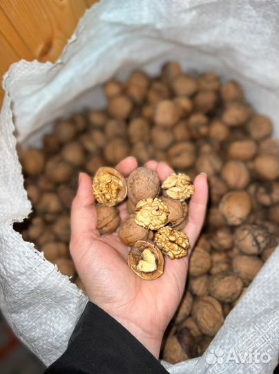 Грецкий орех