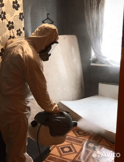 Уничтожение тараканов, крыс, мышей