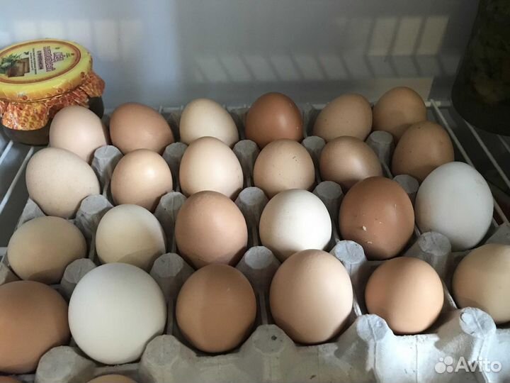 Продам домашние яйца
