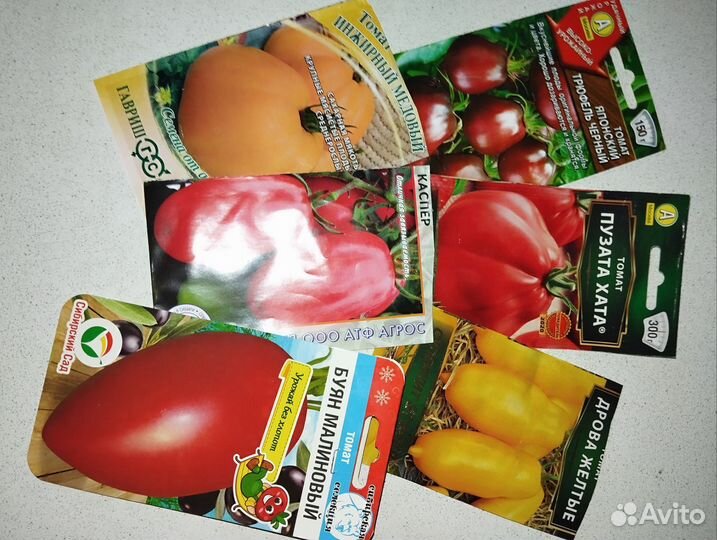 Рассада помидор