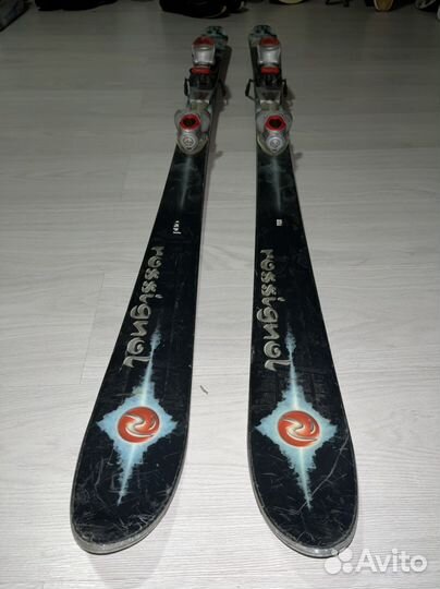 Горные лыжи