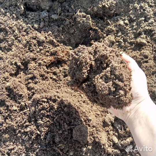 Навоз.перегной коровий