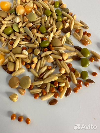 Копошилка для попугаев грызунов кроликов