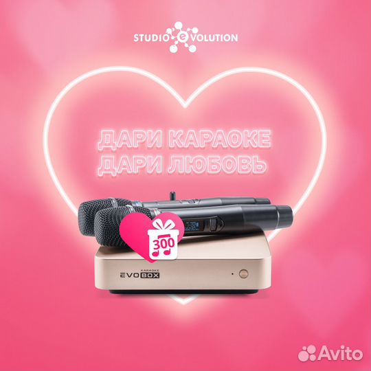 Караоке системы Evolution