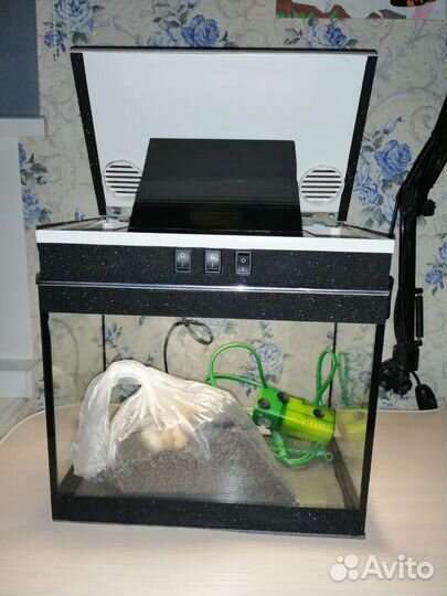 Аквариум