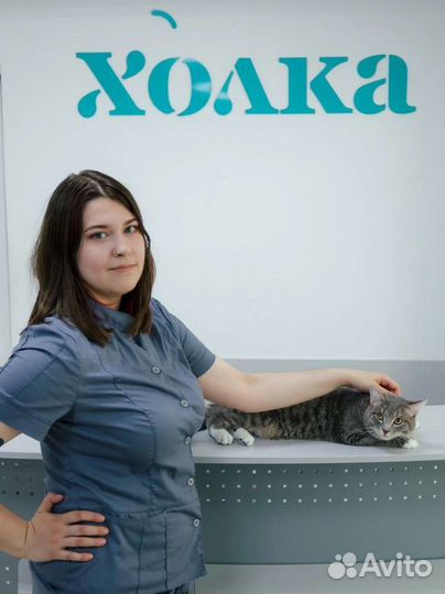 Зоопсихолог кошки