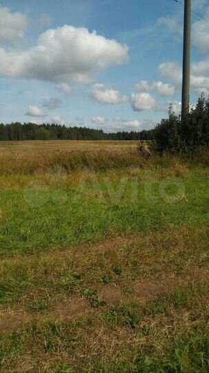 Участок 10 сот. (ИЖС)