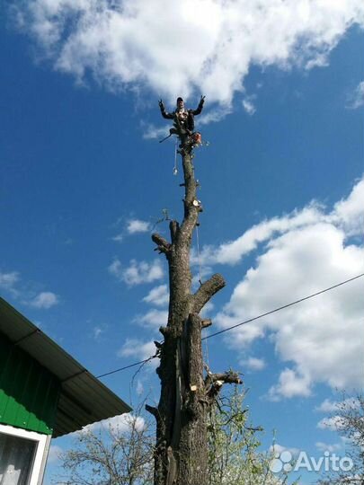 Спил деревьев,покос травы
