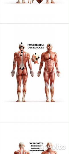 Биоэнергомассажер Квантовой терапии