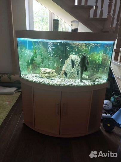 Аквариум
