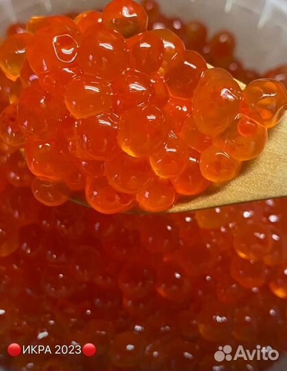 Красная икра 2023