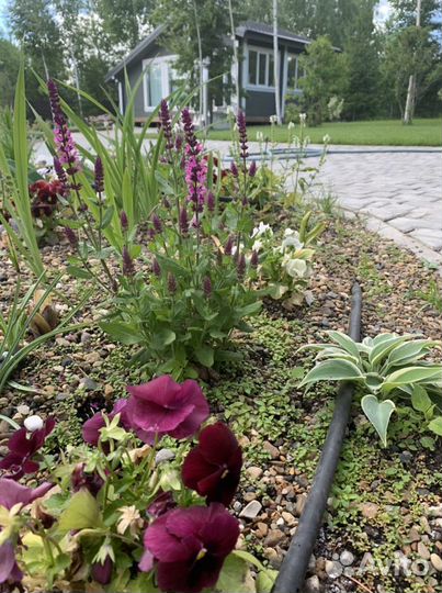 Благоустройство, озеленение