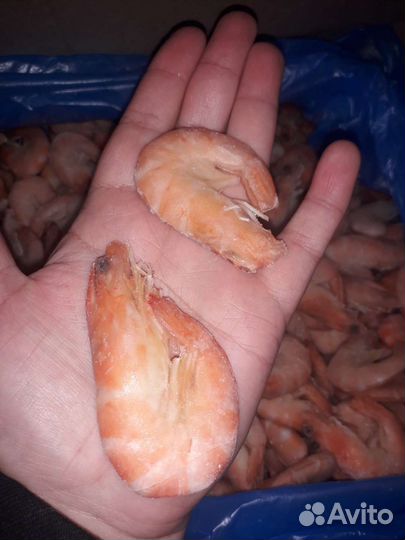 Креветки Королевские