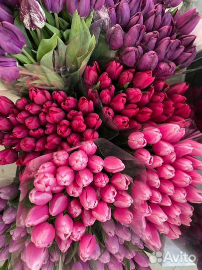 Тюльпаны к 8 марта розница/мелкий опт