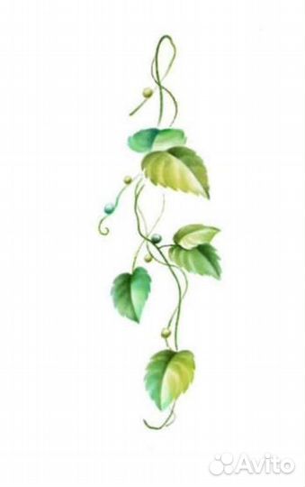 Ищу тату модель