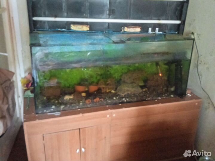 Аквариум с тумбой с крышкой