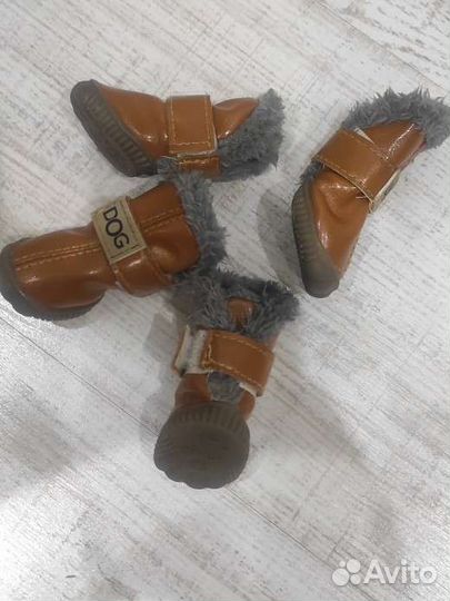 Новые ботинки для мелких пород собак