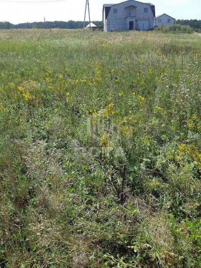 Участок 10 сот. (ИЖС)