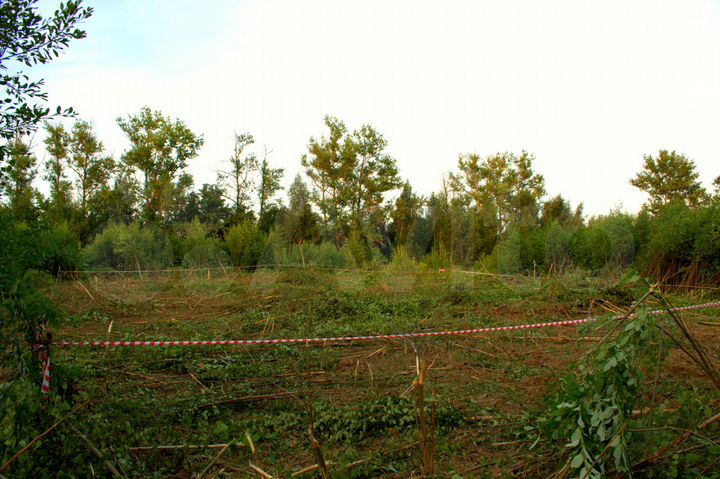 Участок 12 сот. (СНТ, ДНП)