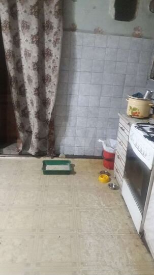 Дом 198 м² на участке 28 сот.