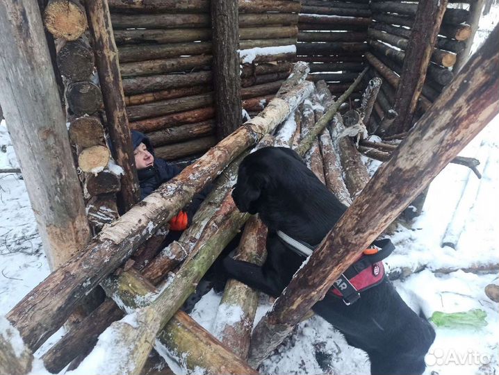 Курс Спасатель для детей, бюджетное и коммерческое
