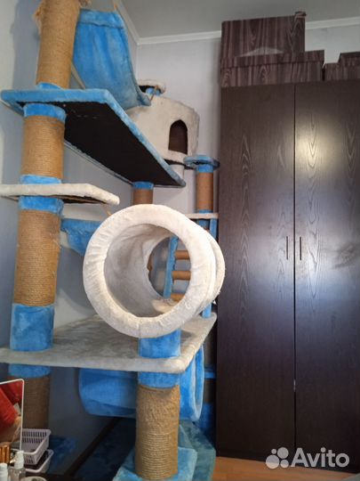 Игровой тоннель для кошек