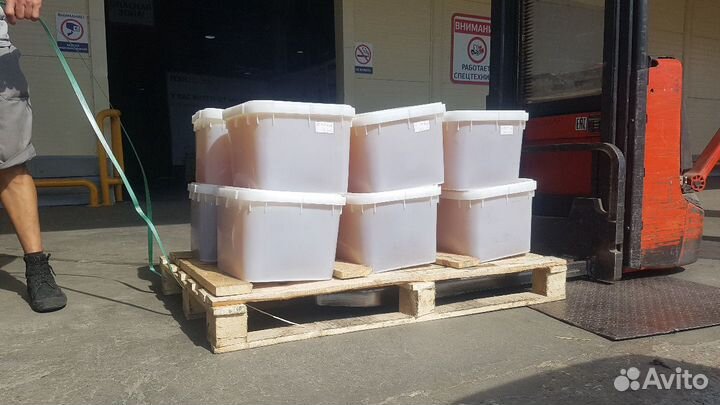 Чистейший Липовый мед (натуральный)