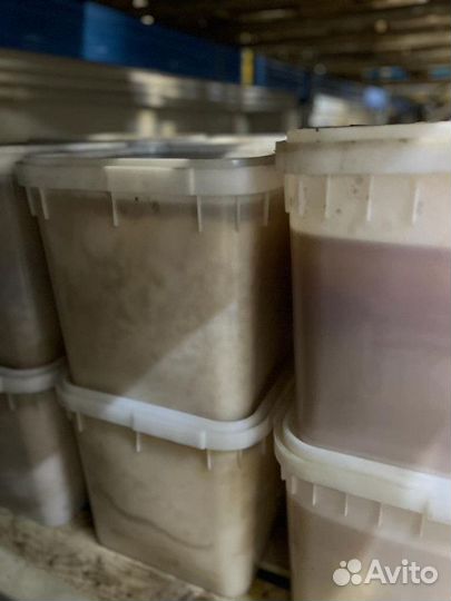 Цветочный мед оптом